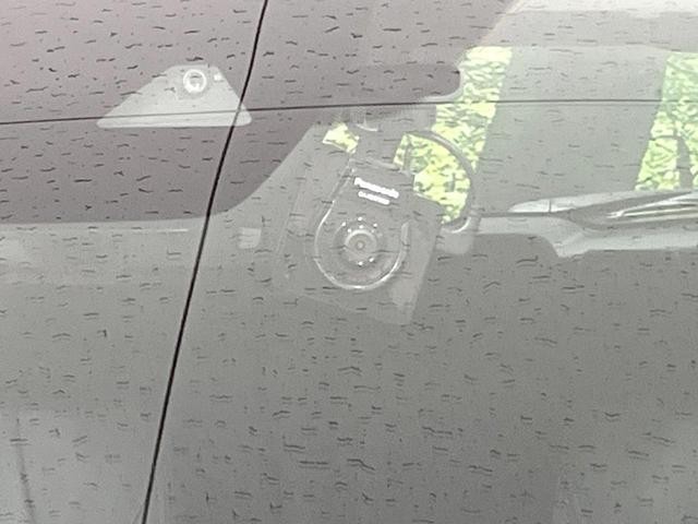 26335231_carP_l_13.jpg