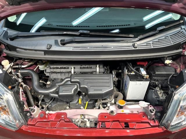 26168255_carP_l_16.jpg