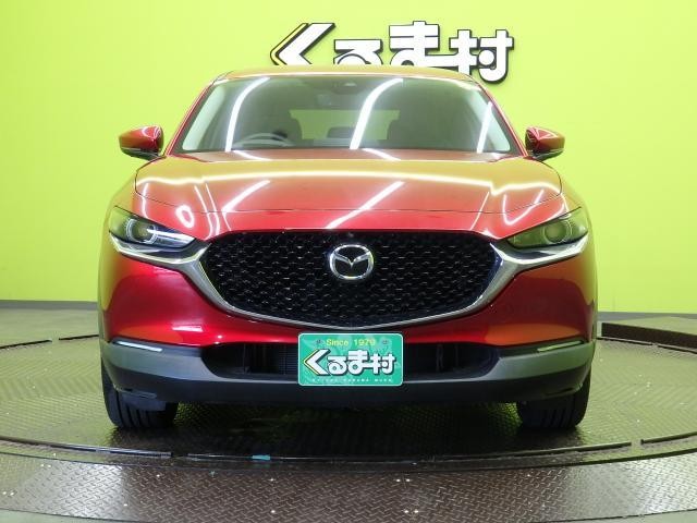 26017280_carP_l_20.jpg