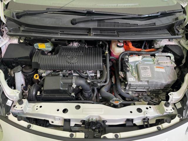 23497350_carP_l_16.jpg