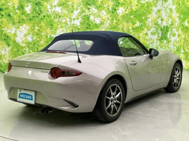 22785749_carP_l_15.jpg