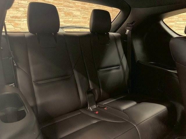 24274362_carP_l_19.jpg