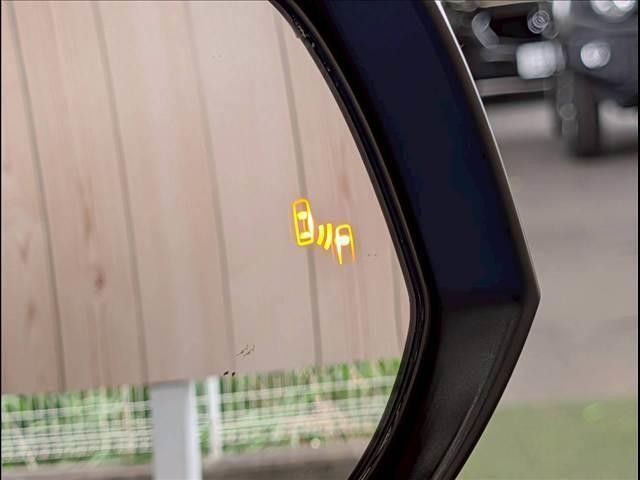 24435518_carP_l_2.jpg