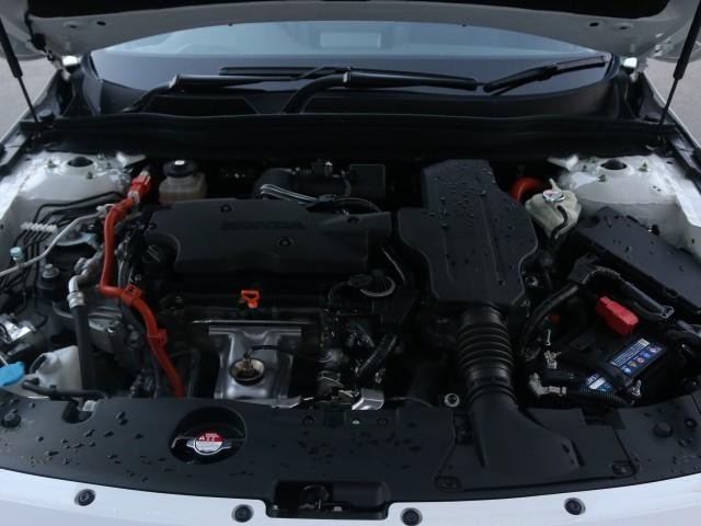 25041549_carP_l_17.jpg