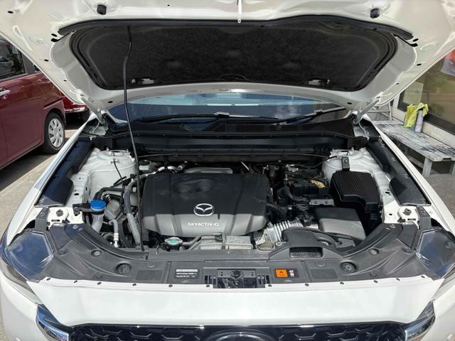 25688704_carP_l_4.jpg
