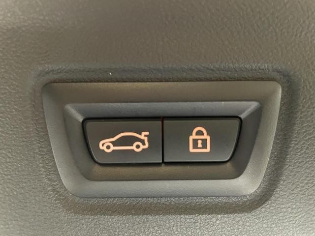 25788424_carP_l_11.jpg