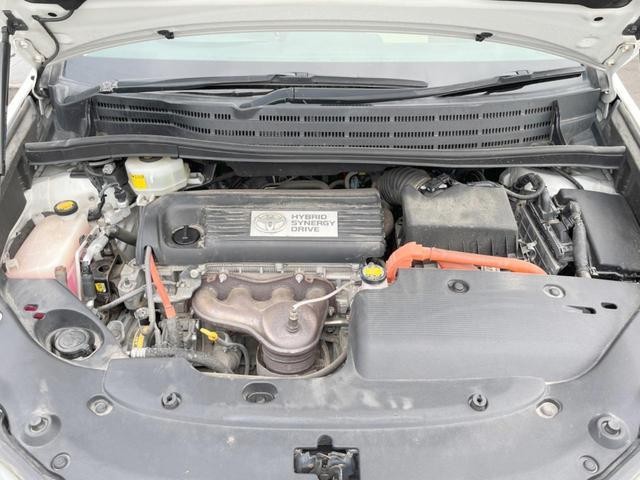 24891490_carP_l_18.jpg