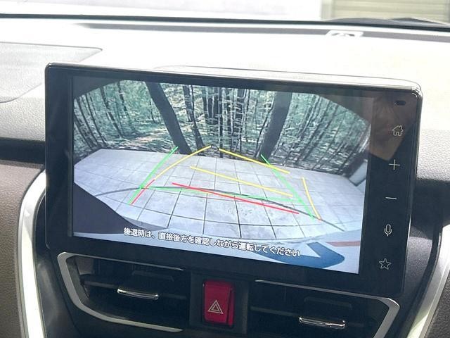 25572023_carP_l_15.jpg