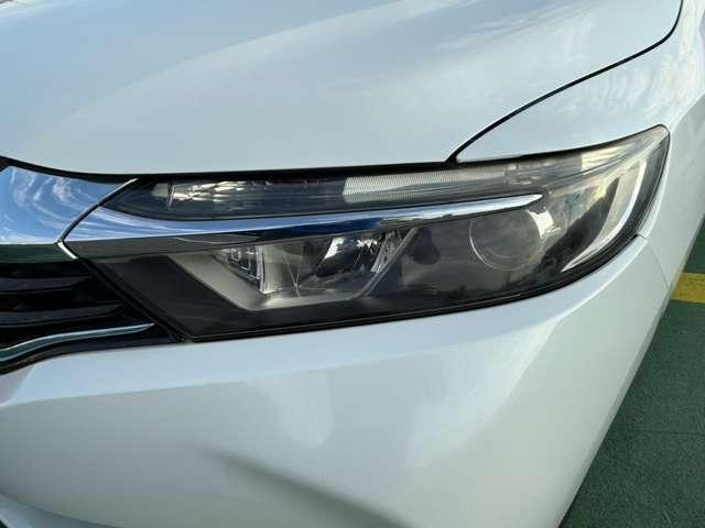 26026550_carP_l_16.jpg