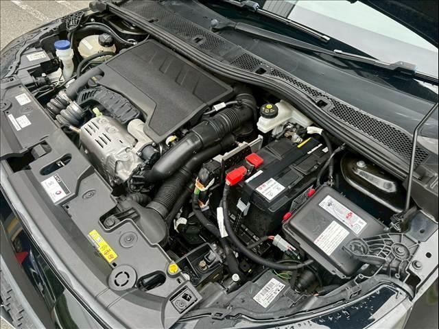 24435536_carP_l_6.jpg