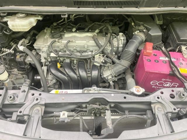 25734307_carP_l_18.jpg