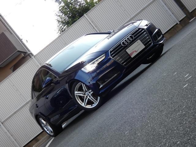 25117077_carP_l_17.jpg