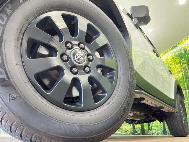 24625712_carP_l_8.jpg