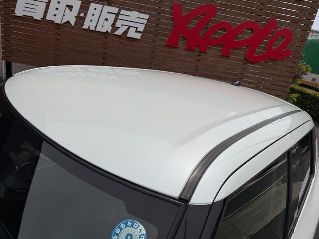 0204543A30260421W00113.jpg