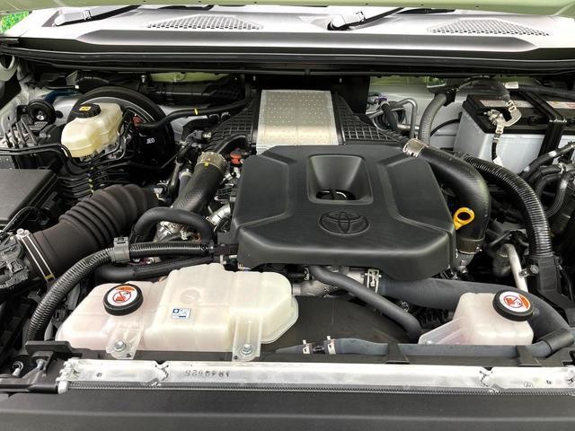 25527414_carP_l_16.jpg