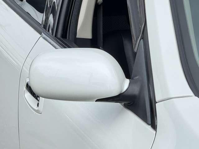 25032048_carP_l_9.jpg