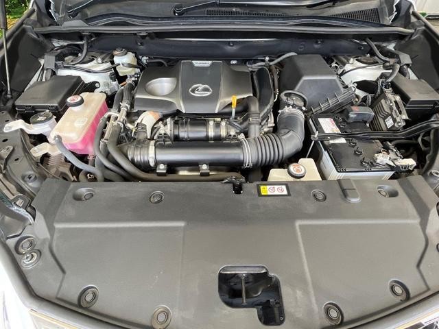 25324137_carP_l_16.jpg