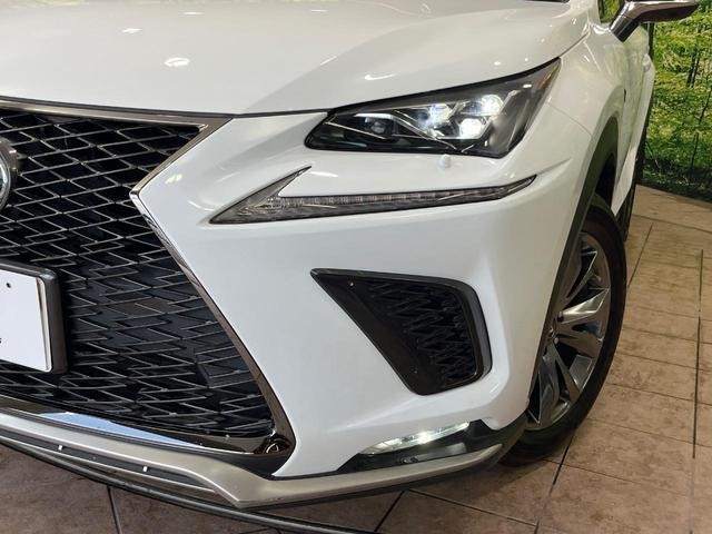 25324137_carP_l_6.jpg