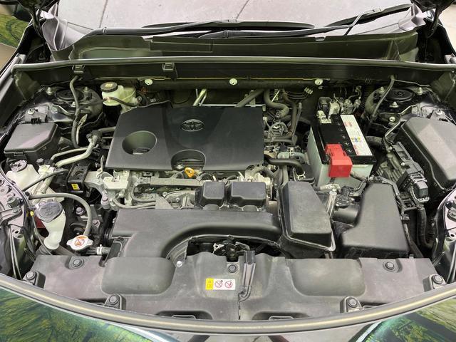 23555286_carP_l_16.jpg