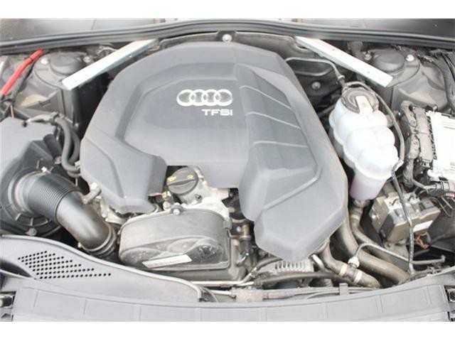 26751907_carP_l_16.jpg