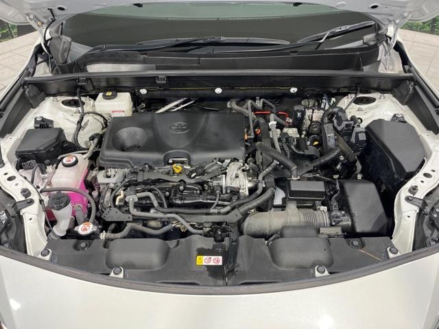 26773925_carP_l_16.jpg