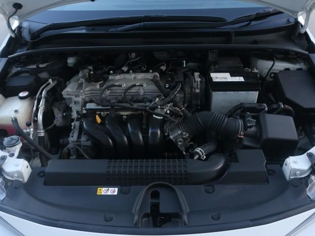 25512459_carP_l_17.jpg