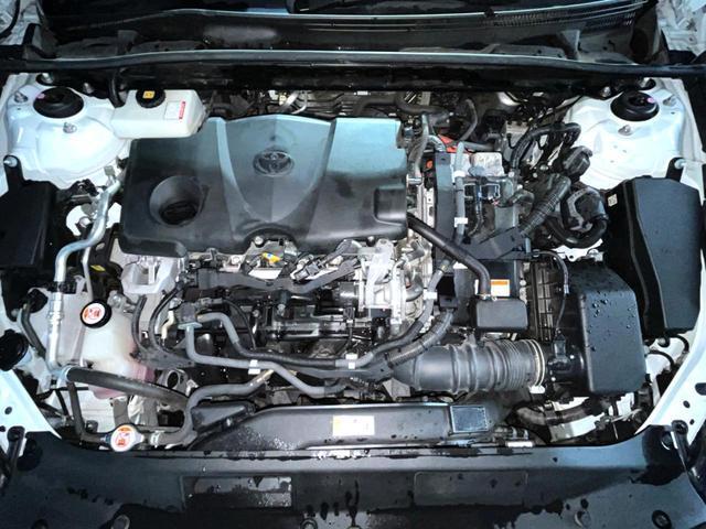 23556122_carP_l_18.jpg