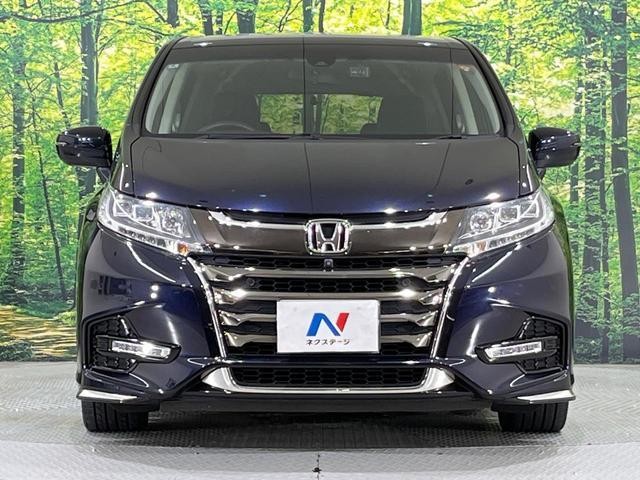 26816243_carP_l_8.jpg