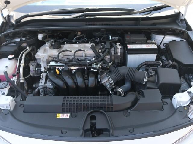 25512465_carP_l_17.jpg
