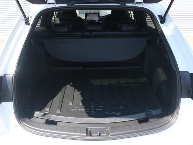 25512465_carP_l_18.jpg