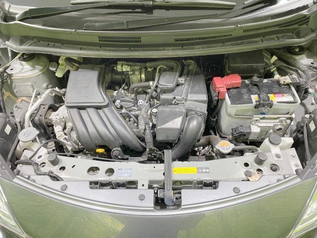 24219493_carP_l_18.jpg