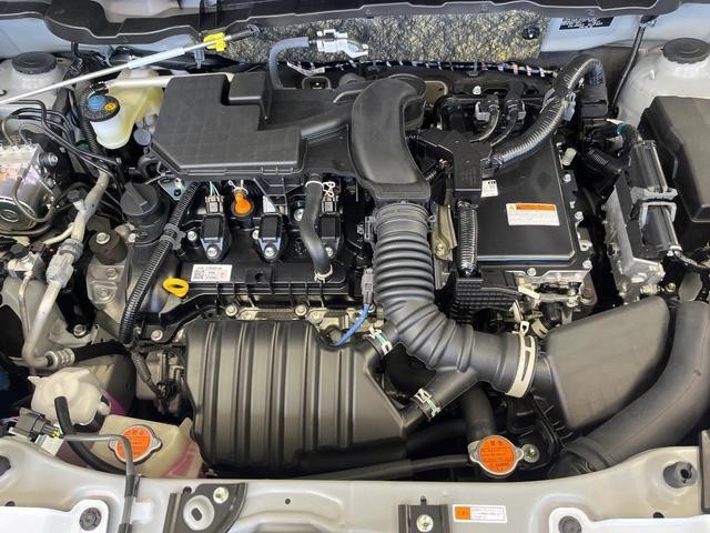 27032258_carP_l_16.jpg