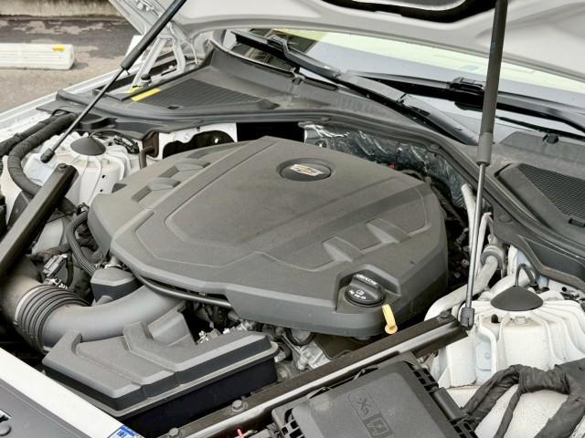 24813506_carP_l_6.jpg