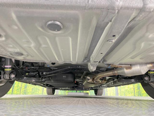 23575969_carP_l_20.jpg