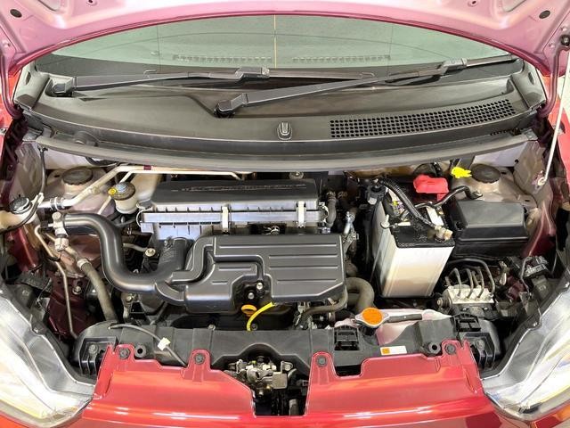 25096324_carP_l_16.jpg
