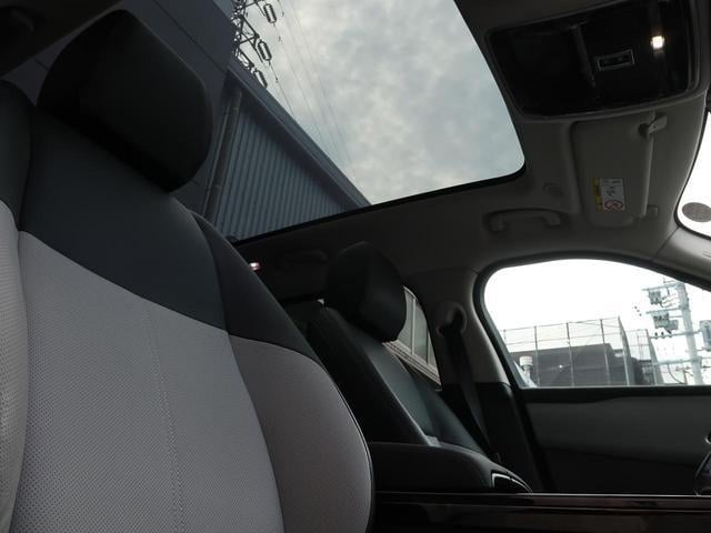 19055698_carP_l_15.jpg