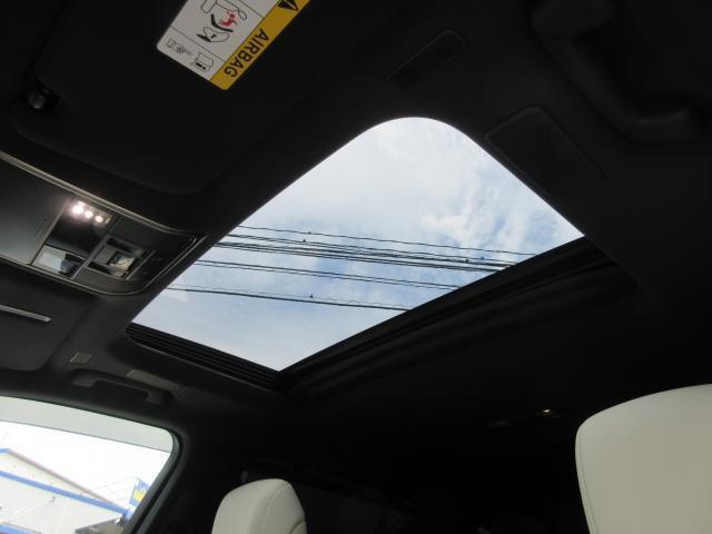 24813644_carP_l_5.jpg
