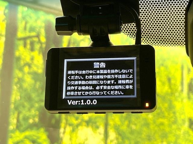 25241063_carP_l_13.jpg