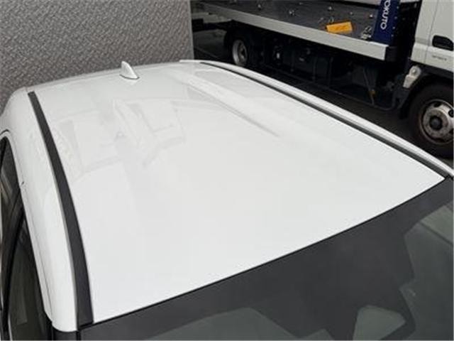 26853962_carP_l_7.jpg