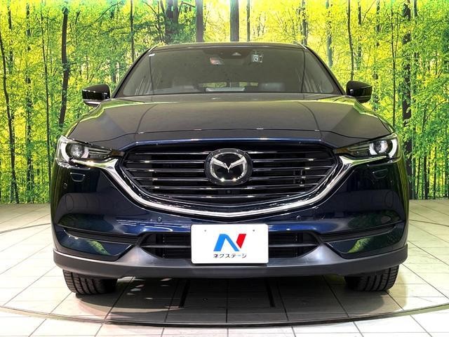 25158021_carP_l_9.jpg
