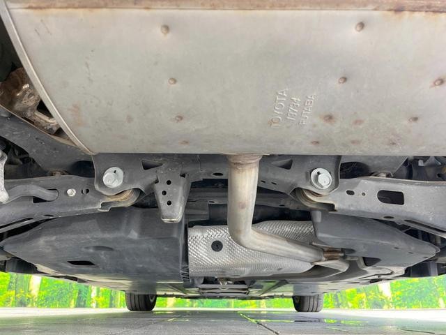 26084733_carP_l_18.jpg