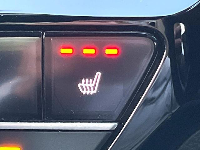 26023199_carP_l_14.jpg