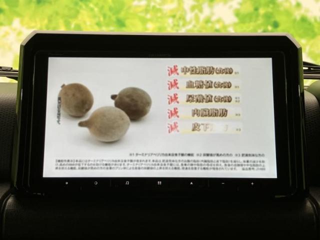 23402084_carP_l_7.jpg