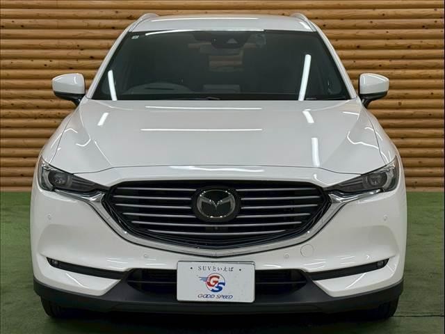 24455969_carP_l_7.jpg