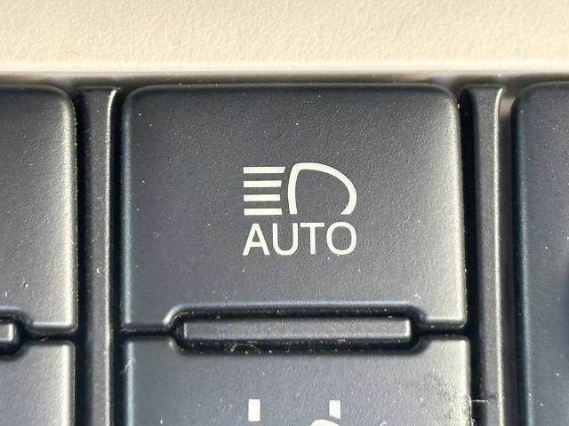 06.jpg