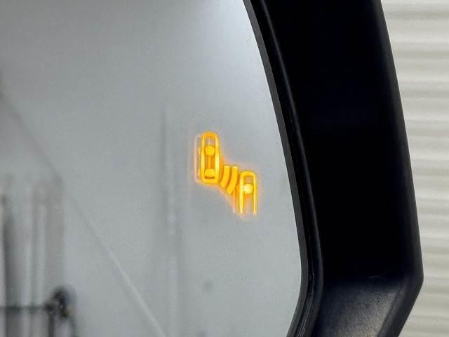 22480579_carP_l_5.jpg