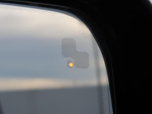 25323720_carP_l_6.jpg