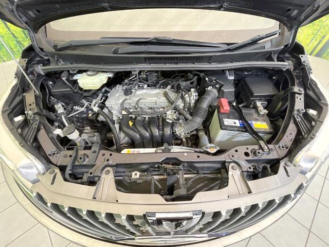 23595502_carP_l_18.jpg