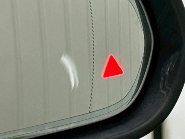 24495839_carP_l_10.jpg