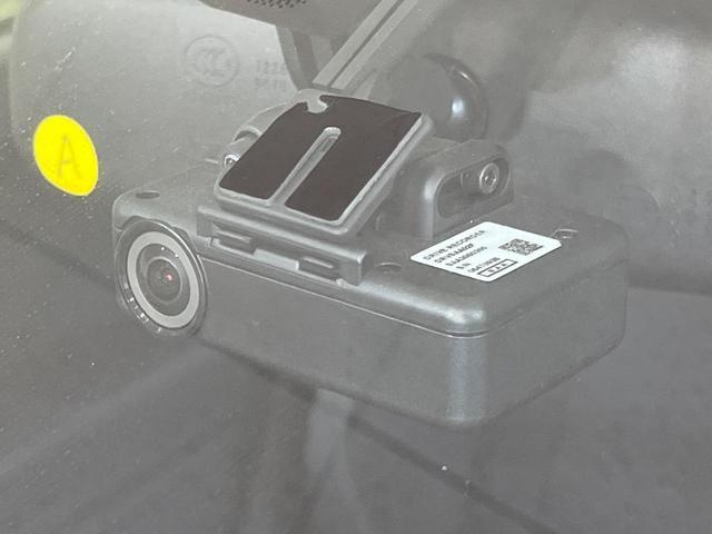 23987258_carP_l_10.jpg